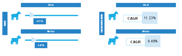 Brazil and Mexico Ultrasound Market